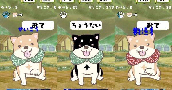 柴犬育成ゲーム〜【柴忍】