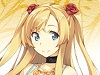 【ウェブナイトカーニバル】５月３０日（木）１７時より、ついに４ｔｈシーズンを開始！特設HPもオープン。