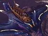 【イカロスオンライン】 新PvPコンテンツ「エクサラン魔石争奪戦」実装！「武器コスチュームデザインコンテスト」結果発表！